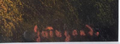 Pierre DE GUINGAND  - Acrobates au cirque - Pastel 2