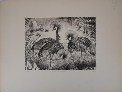 Simone VRAIN: Crowned Cranes, Original signed etching 2