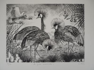 Simone VRAIN : Les grues couronnées, Gravure originale signée 2