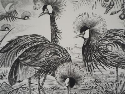 Simone VRAIN : Les grues couronnées, Gravure originale signée 2