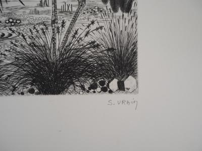 Simone VRAIN : Les grues couronnées, Gravure originale signée 2