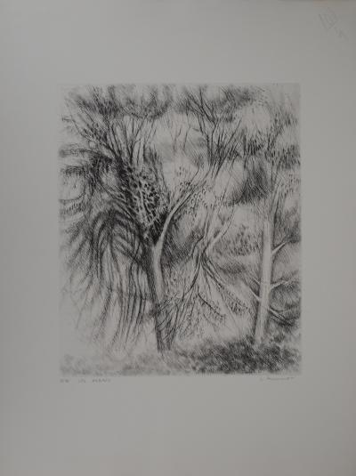 Janine ACREMANT: The Trees, Original signed etching 2
