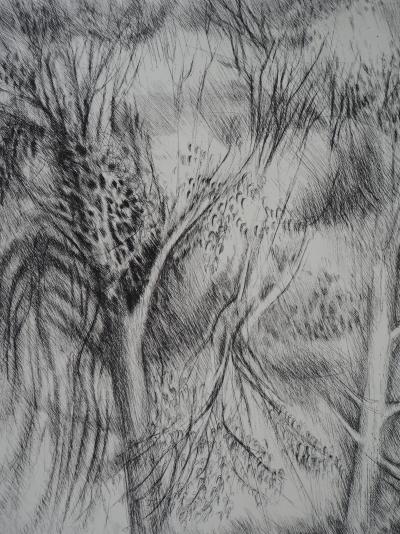 Janine ACREMANT : Les Arbres,  Gravure originale signée 2