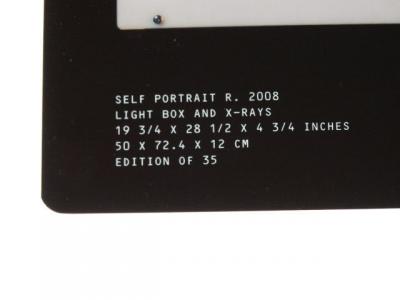 Damien Hirst - Rx Sefportrait - 2010 2