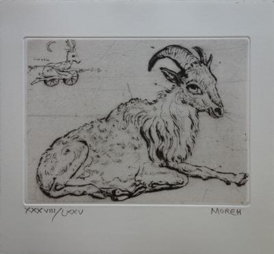 Mordecaï MOREH : Un bouc se reposant - Gravure originale signée 2