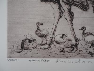 Mordecaï MOREH : Faire des autruches - Gravure originale signée 2