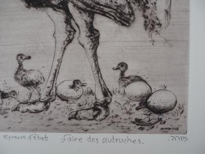 Mordecaï MOREH : Faire des autruches - Gravure originale signée 2