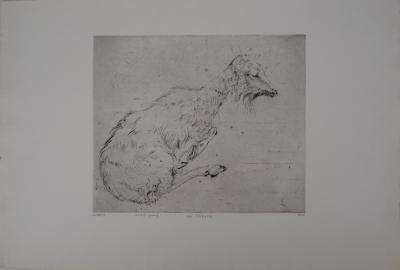Mordecaï MOREH : La chèvre - Gravure originale signée 2