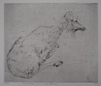 Mordecaï MOREH : La chèvre - Gravure originale signée 2
