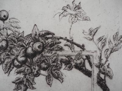 Mordecaï MOREH : Le pommier - Gravure originale signée 2