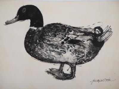 Jacques Petit : Le canard noir - Dessin Original Signé 2