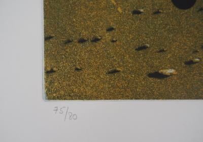 Hiroshi ASADA : Autour d’une pierre - Gravure Originale Signée 2