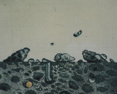 Hiroshi ASADA : Rochers verts - Gravure Originale Signée 2