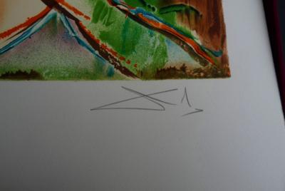Salvador Dali (8kg) Livre - Plaque en Cuivre signée -18 Lithographies + 1 signée de la main de Dali-1983 2