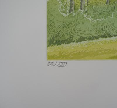 Michel PARADIS : La clairière - Gravure originale signée au crayon 2