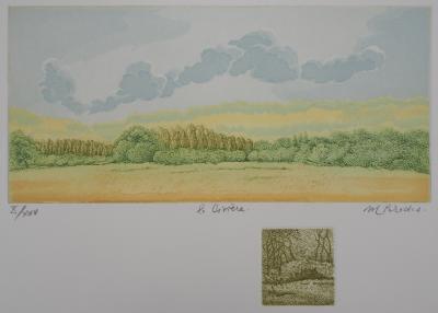 Michel PARADIS : Champ de verdure - Gravure Originale Signée 2