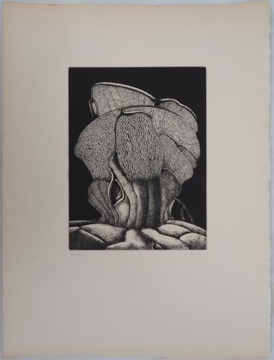 Alain LE FOLL : Polyphore - Gravure Originale Signée 2
