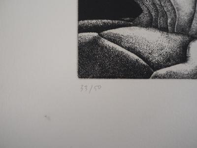 Alain LE FOLL : Polyphore - Gravure Originale Signée 2
