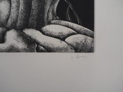Alain LE FOLL : Polyphore - Gravure Originale Signée 2