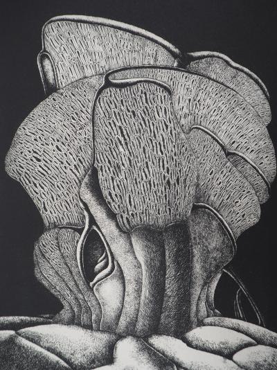 Alain LE FOLL : Polyphore - Gravure Originale Signée 2