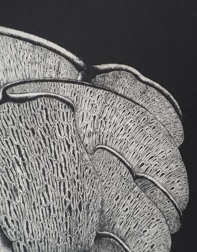 Alain LE FOLL : Polyphore - Gravure Originale Signée 2