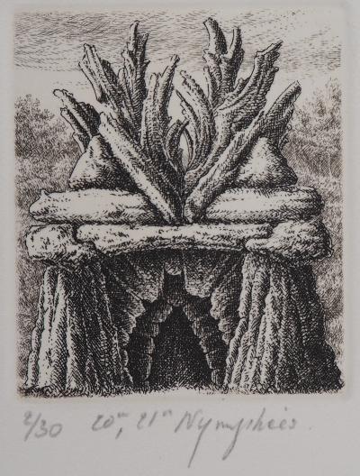 François HOUTIN : 20e et 21ème nymphées - Gravure Originale Signée 2
