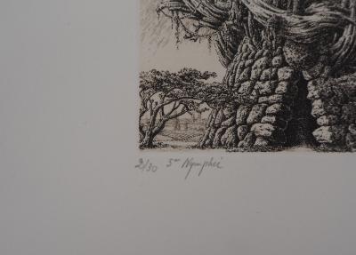 François HOUTIN : 5ème nymphée - Gravure Originale Signée 2