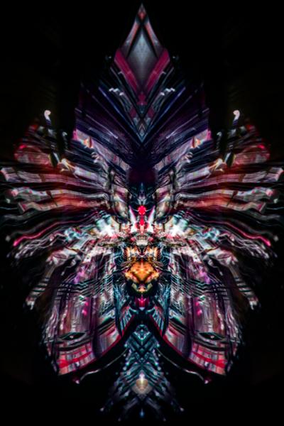 Robin THUREL - Entité 03, 2018 - Photographie 2