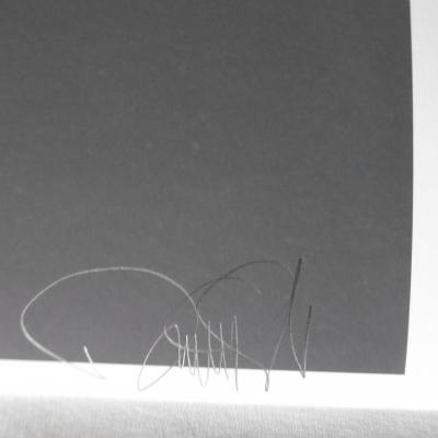 DENIAL, Louis Vuitton, 2019, Lithographie Signée et Numérotée par l’artiste 2