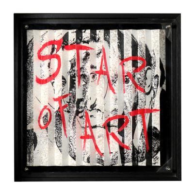 Julien Dubois - Star of Art B&W - Peinture 2