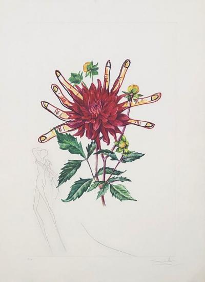 Salvador DALI - Dahlia Rapax - Gravure originale signée au crayon - 1972 - Fleurs surréalistes 2