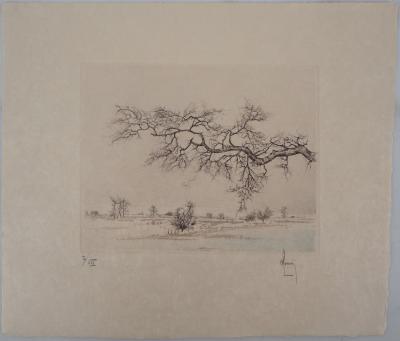 Bernard LOUEDIN : Les épines gelées - Gravure Originale Signée 2