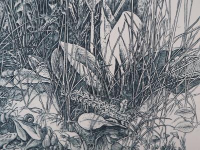 Eric ROBERT-AYME : Hommage à Dürer - Gravure Originale Signée 2