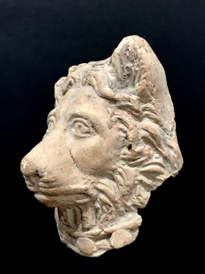 Tête de lionne, Alexandrie, Égypte 2