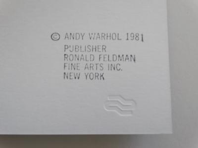 Andy Warhol, Witch Screenprint 2
