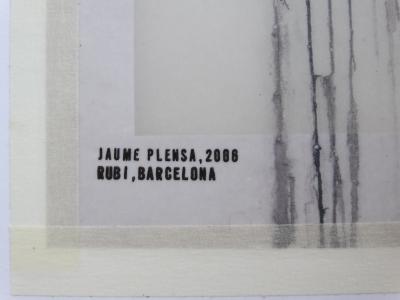 Jaume Plensa  - Untitled Lithograph on vegetal paper 2