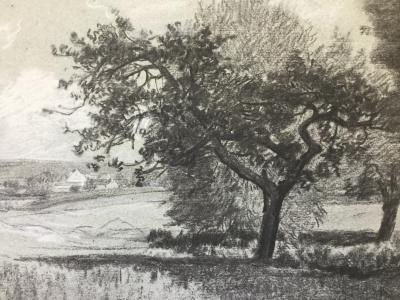 Louis Marie LEMAIRE - Paysage à l’arbre, vers 1860, fusain et pastel 2