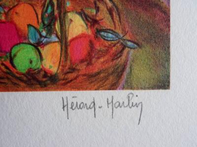 Josette HERARD-MARLIN : La cage aux oiseaux - Lithographie signée au crayon 2