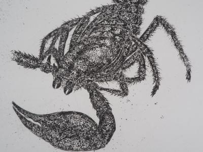 Serge D’URACH: The detached scorpion - Original signed etching 2
