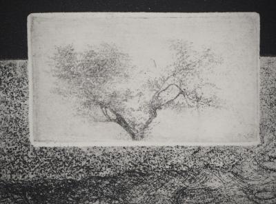 Michel QUERIOZ : L’arbre et l’oiseau - Gravure originale signée 2