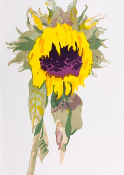 Françoise PÉTROVITCH - Le Tournesol, 2017 - Handsigned and numbered lithograph 2