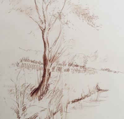 Louis DIDERON - Paysage - 1954 - Dessin signé 2