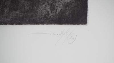 Daniel AIRAM : Sully - Gravure originale signée 2