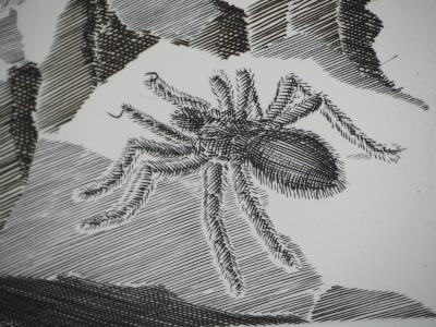 Maurice COPREAUX : Aventurier guidé par l’araignée - Gravure Originale Signée 2