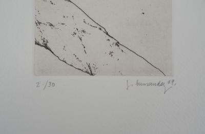 José HERNÁNDEZ : Tête de fleur - Gravure Originale Signée 2