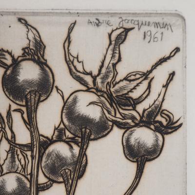 André JACQUEMIN : Plante hivernale - Gravure Originale Signée 2
