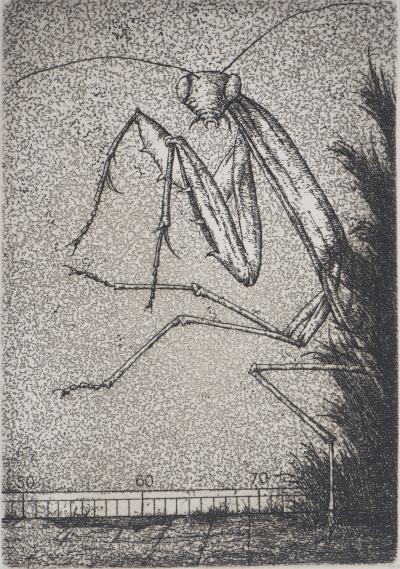 Jose HERNANDEZ : Insecte III - Gravure originale signée 2