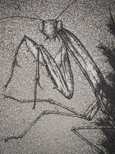 Jose HERNANDEZ : Insecte III - Gravure originale signée 2