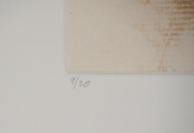 Jose HERNANDEZ : INSECTO V - Gravure originale signée 2