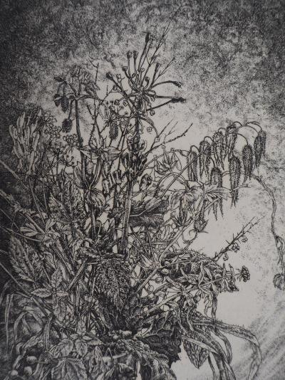 Jean-Pierre VELLY : Vase de fleurs, gravure originale signée 2